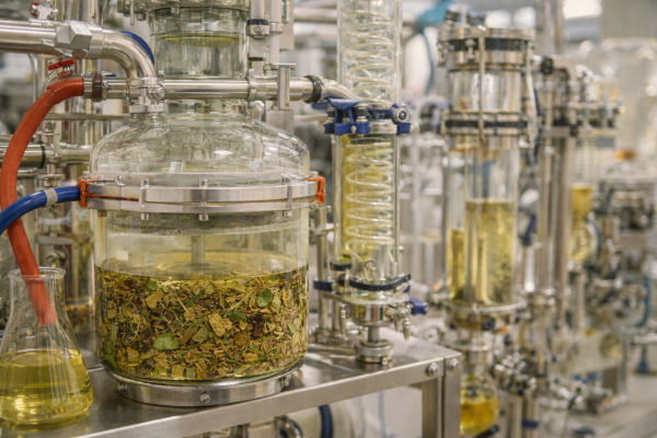 Как получают экстракты лекарственных растений: технология экстракции на производстве ЗЭФ
