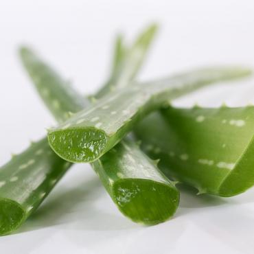Алоэ-вера экстракт