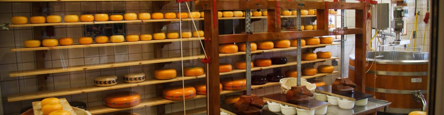 Домашнее сыроделие или как приготовить качественный сыр